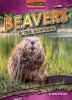 Go to record Beavers in their ecosystems