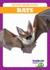 Go to record Bats
