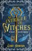 Go to record An intrigue of witches