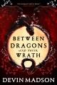 Go to record Between dragons and their wrath