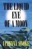 Go to record The liquid eye of a moon