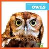Go to record Owls