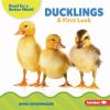 Go to record Ducklings : a first look