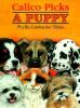 Go to record Calico picks a puppy