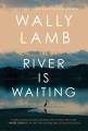 Go to record The river is waiting