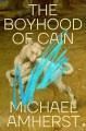 Go to record The boyhood of Cain