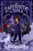 Go to record The labyrinth of souls