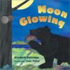 Go to record Moon glowing
