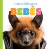 Go to record Murciélagos bebés
