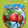 Go to record An apple grows