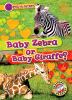 Go to record Baby zebra or baby giraffe?
