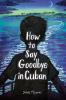 Go to record How to say goodbye in Cuban