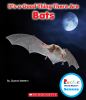 Go to record It's a good thing there are bats