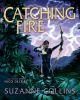Go to record Catching fire