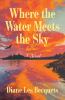 Go to record Where the Water Meets the Sky
