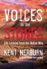 Go to record Voices in the stones : life lessons from the native way