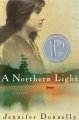 Go to record A northern light