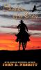 Go to record Shadow of a crow