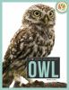 Go to record Owl