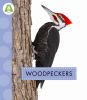Go to record Woodpeckers