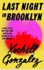 Go to record Last night in Brooklyn : a novel