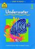 Go to record Underwater