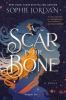 Go to record A Scar in the Bone