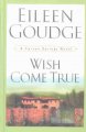 Go to record Wish come true : a Carson Springs novel