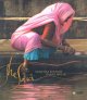 Go to record The sari