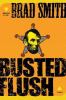 Go to record Busted flush : a novel