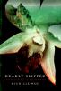 Go to record Deadly slipper : a novel of death in the Dordogne