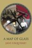 Go to record A map of glass