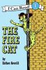 Go to record The fire cat