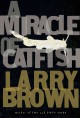 Go to record A miracle of catfish : a novel in progress