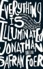 Go to record Everything is illuminated