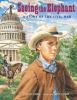 Go to record Seeing the elephant : a story of the Civil War