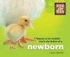 Go to record 7 reasons to be grateful you're the mother of a newborn