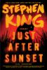 Go to record Just after sunset : stories