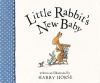 Go to record Little Rabbit's new baby