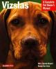 Go to record Vizslas : everything about purchase, care, nutrition, groo...