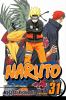 Go to record Naruto. #31, Final battle