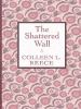 Go to record The shattered wall
